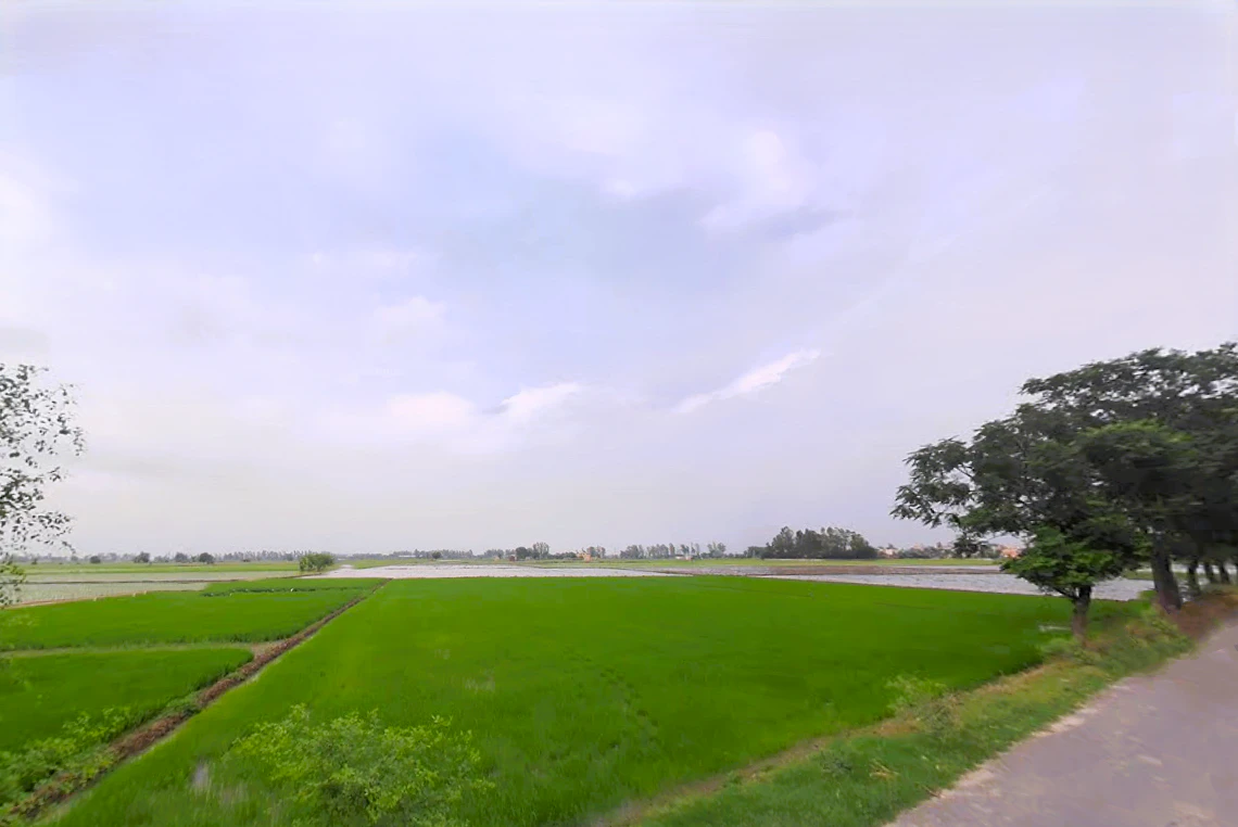 Dhurala, Haryana 136119, India