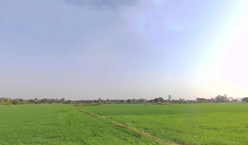 Kodiya, Madhya Pradesh 462044, India preview 3