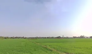 Kodiya, Madhya Pradesh 462044, India preview 3