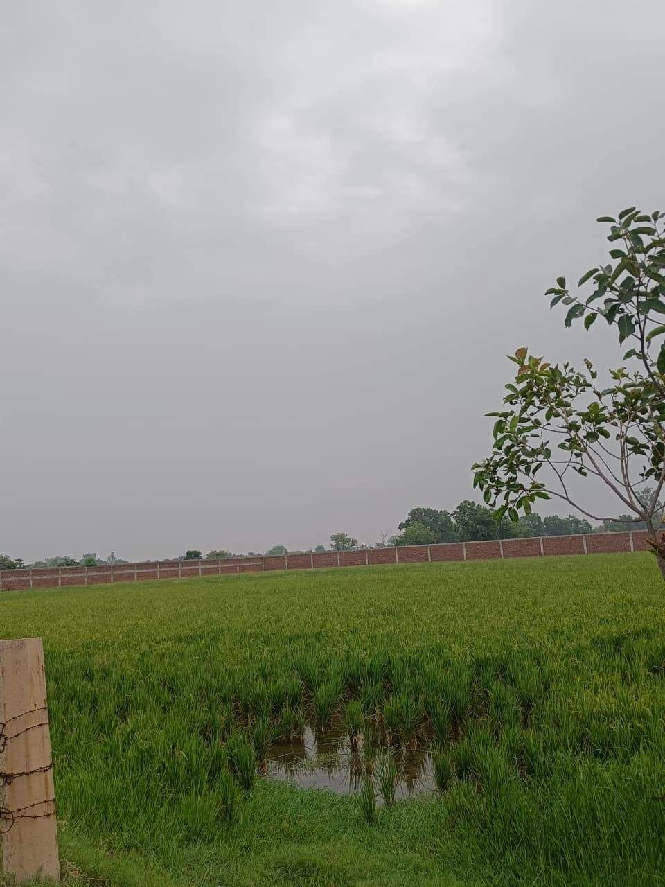 Adampur, Uttar Pradesh, India preview 2