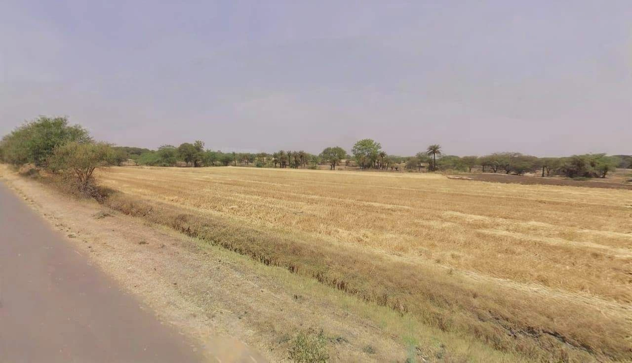 Neemkheda, Madhya Pradesh 455227, India