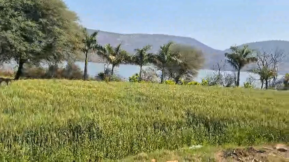 GGJF+3RP, Kishanpur, Rajasthan 301001, India preview 3