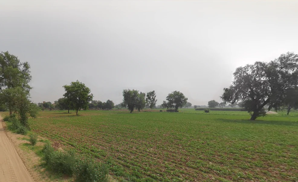 Khabran Kalan, Haryana 125053, India