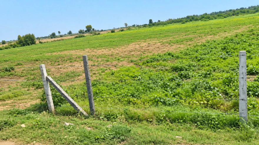 WVM8+576, Arjansar, Rajasthan 334604, India - Photo 2