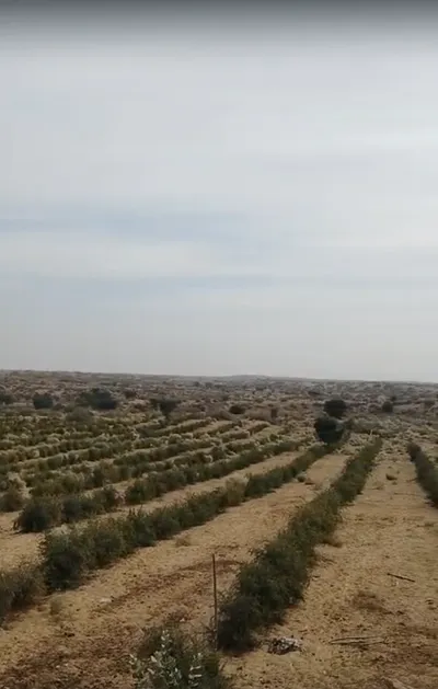 Poogal, Rajasthan 334808, India preview 2