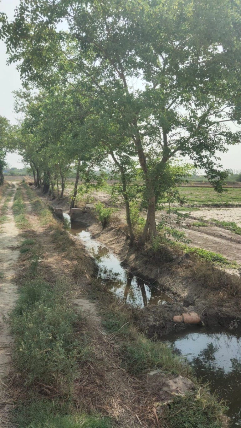 7FRQ+XR3, Bhindaulia, Uttar Pradesh 243123, India