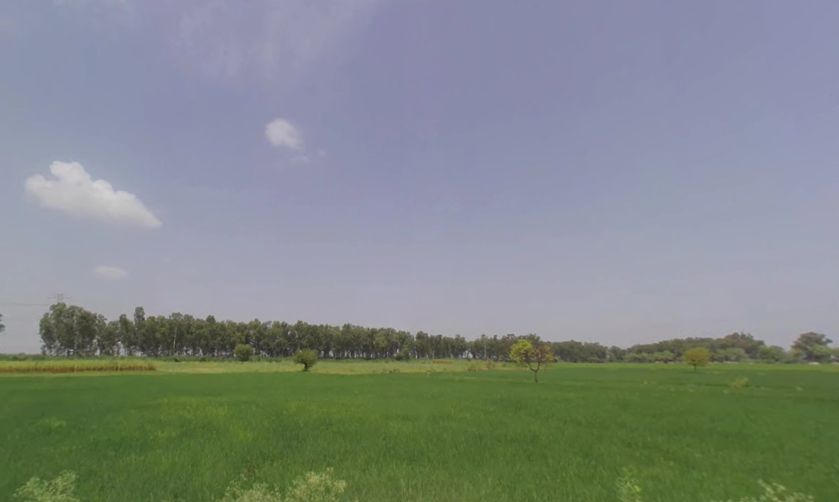 Charkhi Dadri, Haryana 127306, India