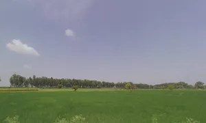 Charkhi Dadri, Haryana 127306, India preview 2