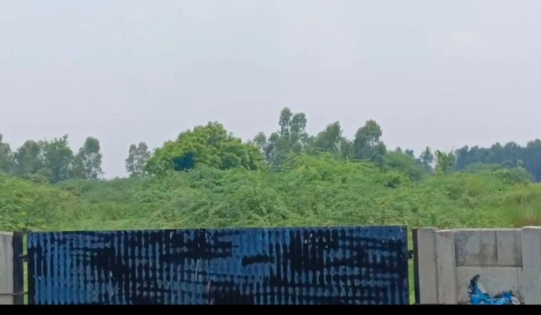 Purwa, Unnao, Uttar Pradesh, India
