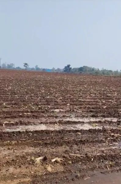 Punasa, Madhya Pradesh, India preview 3