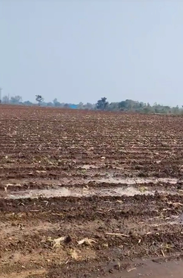 Punasa, Madhya Pradesh, India
