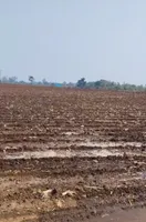 Punasa, Madhya Pradesh, India preview 3