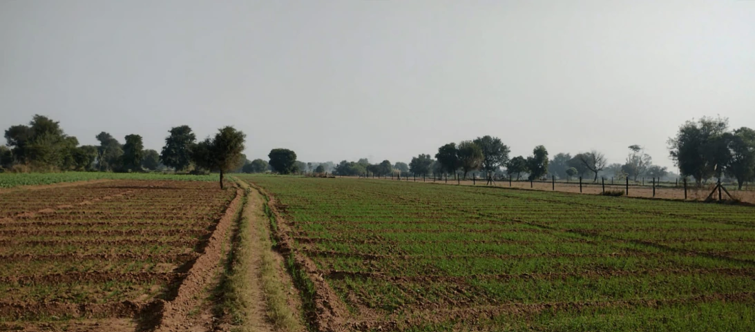 Bhadson Rd, Ranjit Nagar, Patiala, Punjab, India