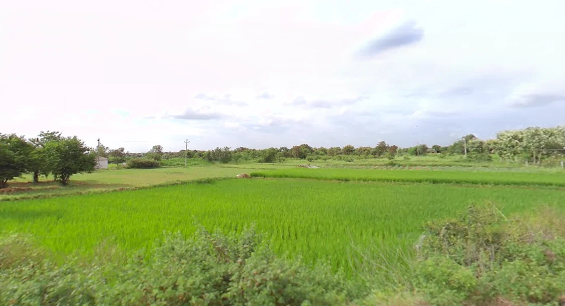 Kadthal, Telangana 509358, India