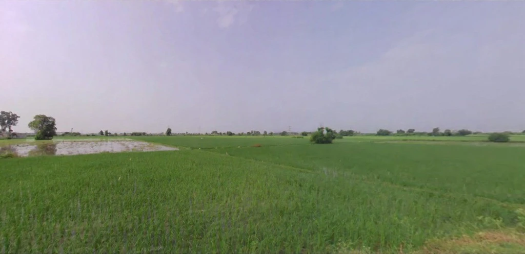 Arpana Trust, Madhuban, Karnal, Madhuban, Haryana 132037, India