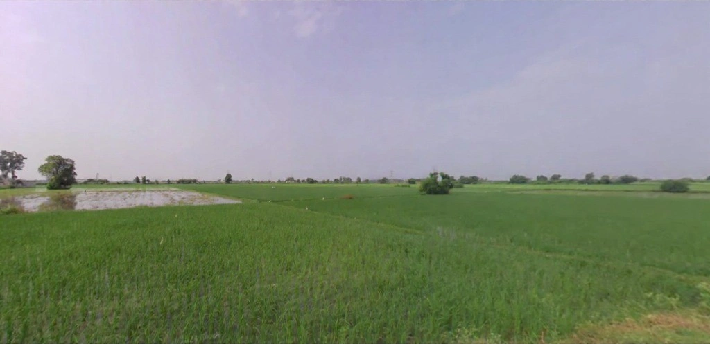 Arpana Trust, Madhuban, Karnal, Madhuban, Haryana 132037, India
