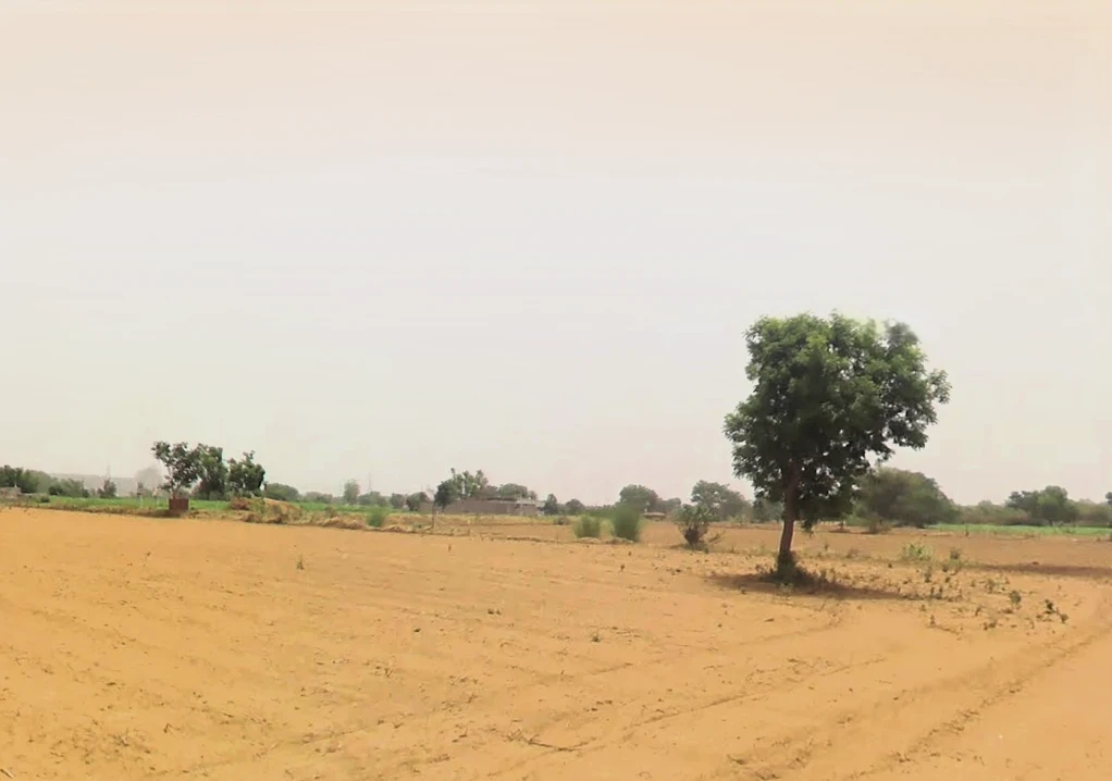 Chuliana, Haryana 124501, India