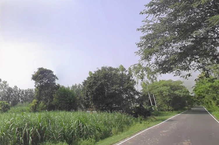 Nakur, Uttar Pradesh 247342, India