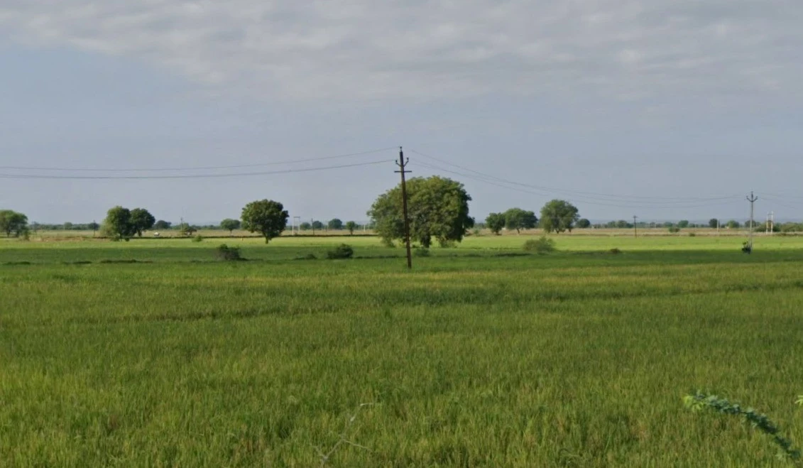 CJF2+4M5, Semra, Madhya Pradesh, India