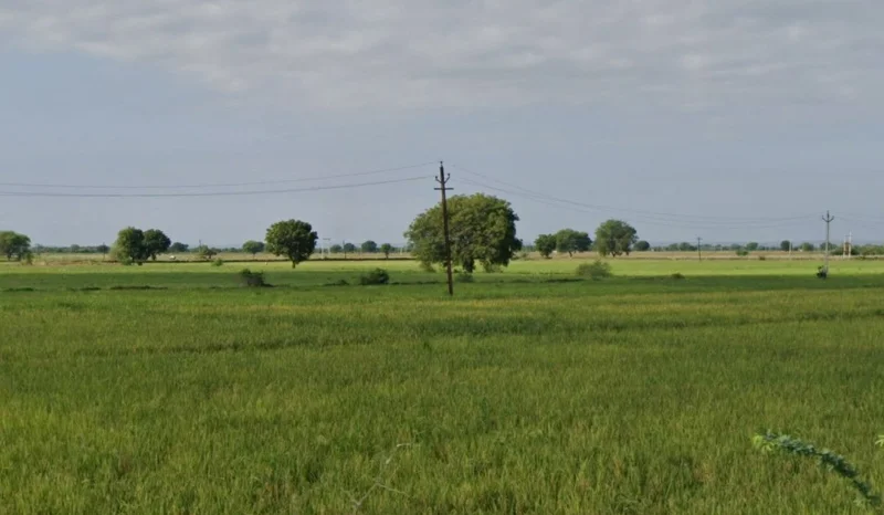 CJF2+4M5, Semra, Madhya Pradesh, India preview 3