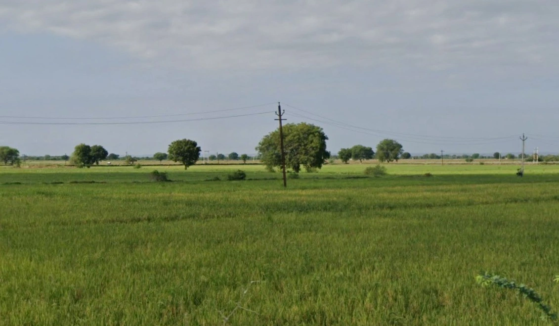 CJF2+4M5, Semra, Madhya Pradesh, India