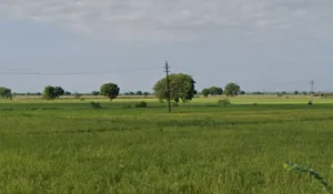 CJF2+4M5, Semra, Madhya Pradesh, India preview 3