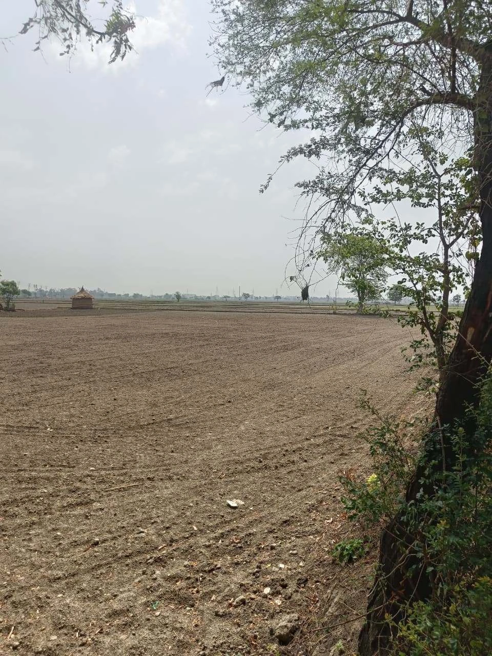 Aou, Rajasthan, India