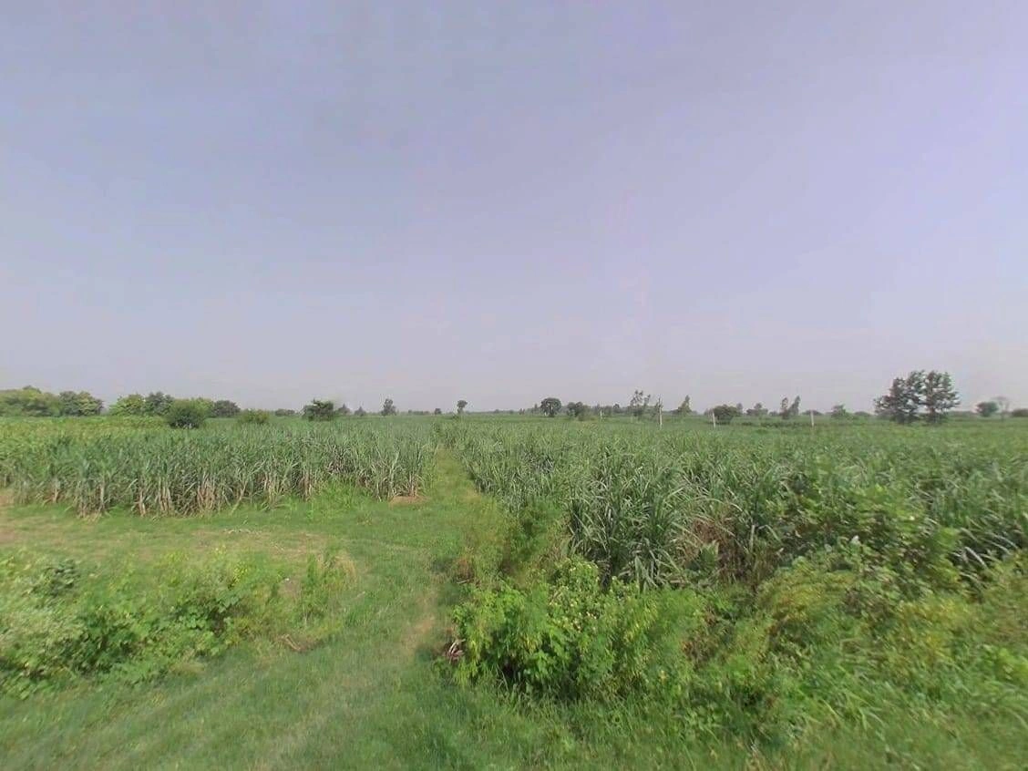 2420, Khiwai, Uttar Pradesh 250344, India