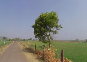 Raisen, Madhya Pradesh, India preview 2