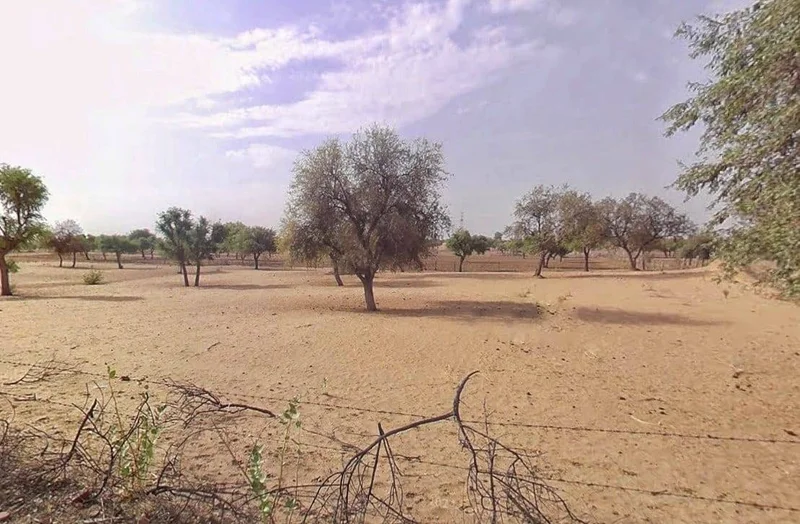 Bhurasar, Rajasthan, India preview 3