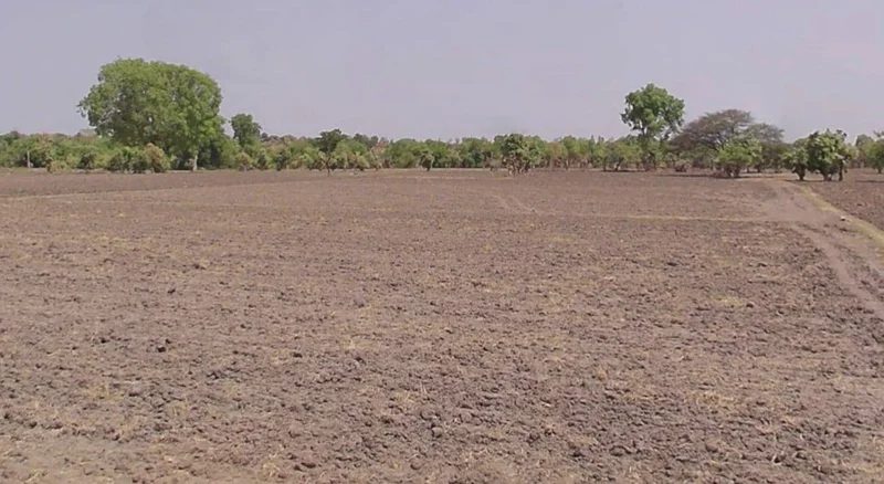 Alote, Madhya Pradesh 457114, India preview 2