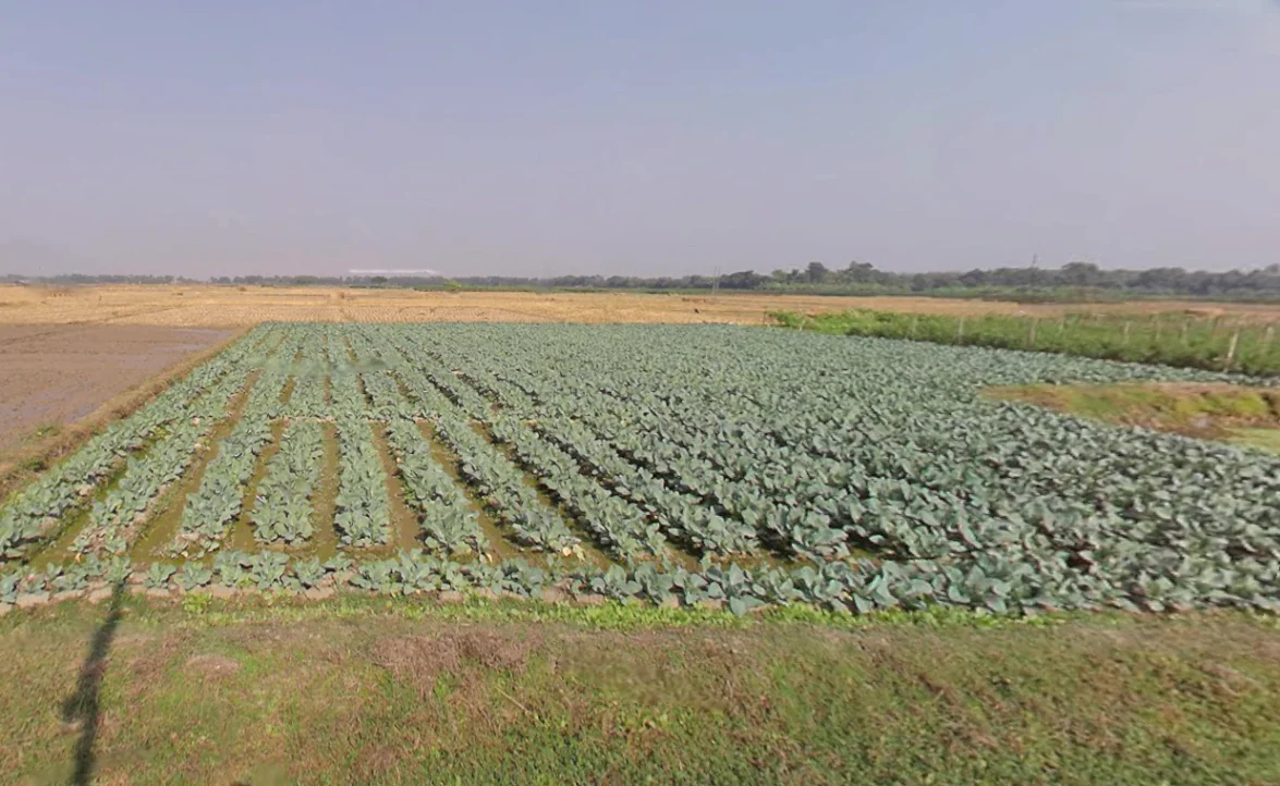 Amdanga, West Bengal 743221, India preview 3