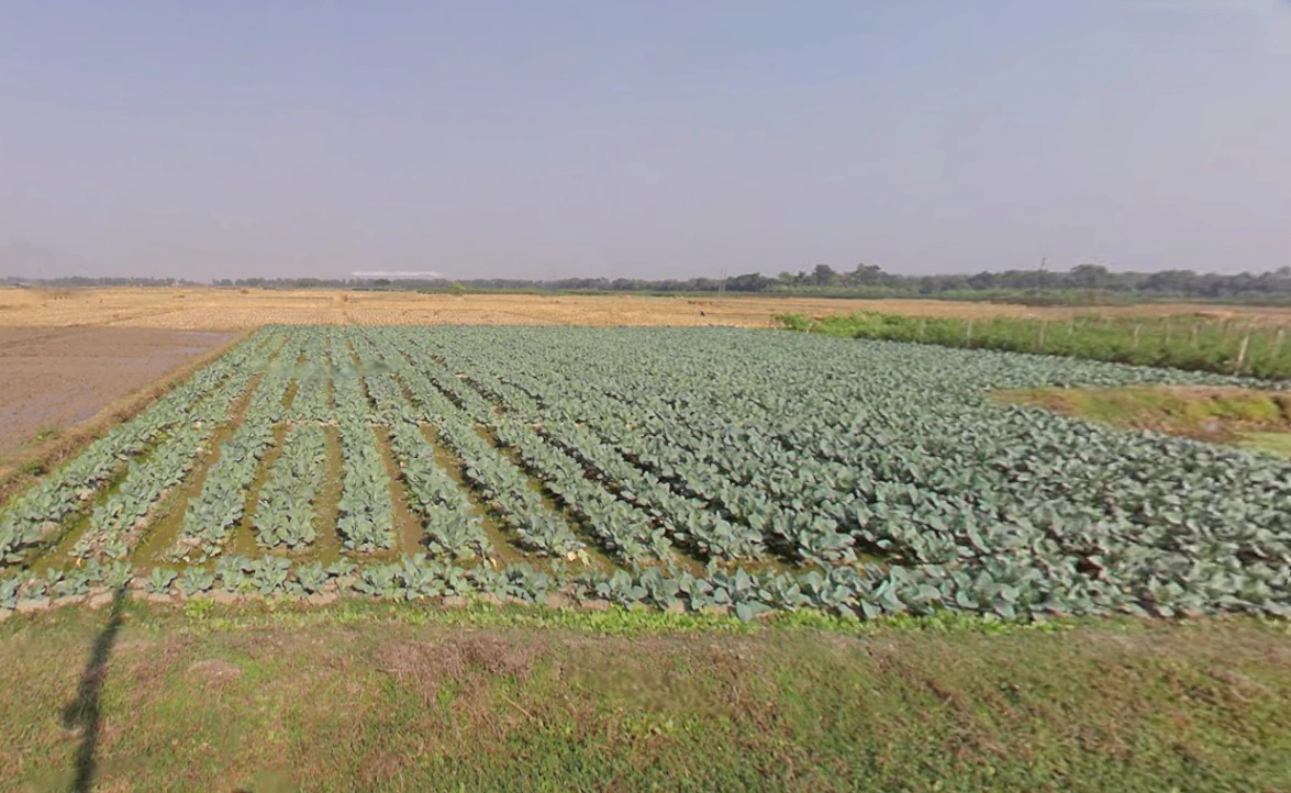 Amdanga, West Bengal 743221, India