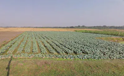 Amdanga, West Bengal 743221, India preview 3