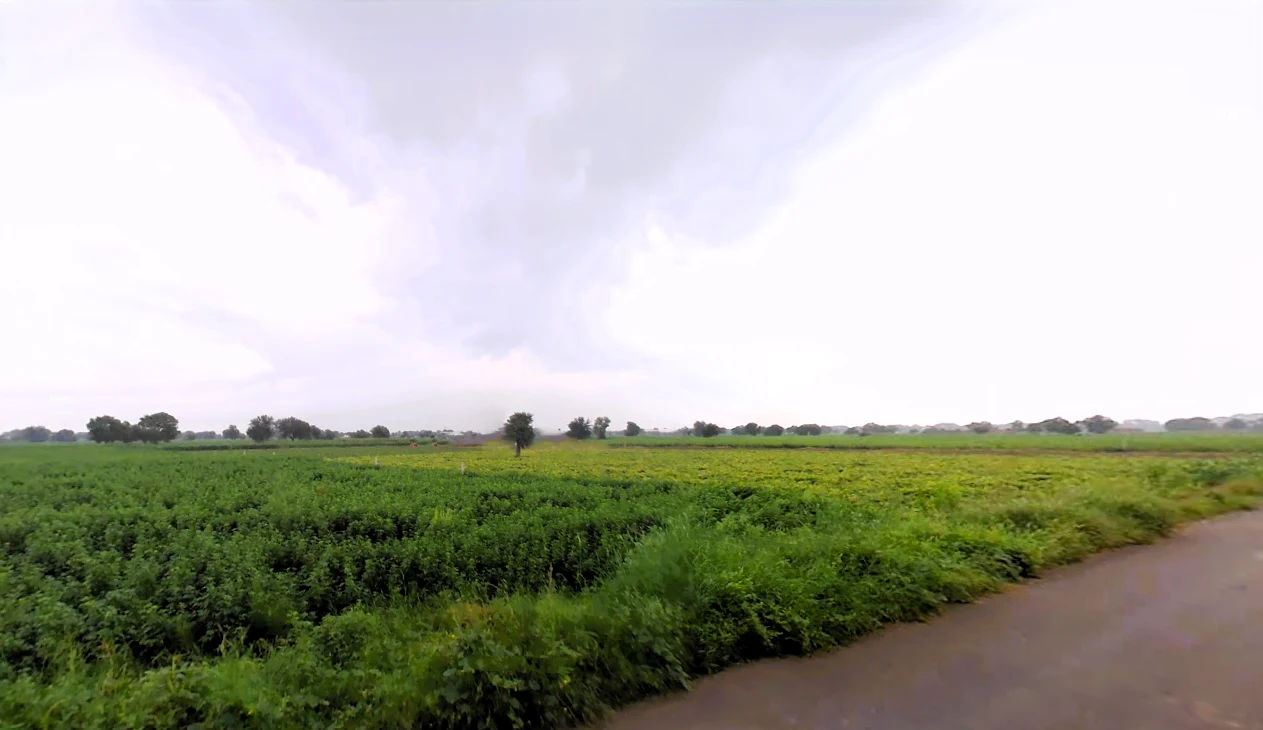 Barwa, Haryana 127045, India preview 3