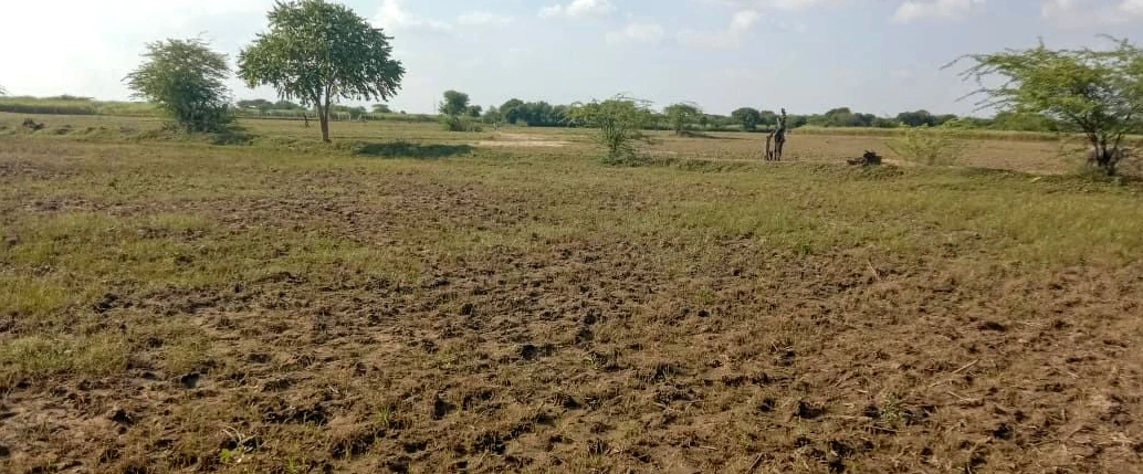 Moradabad, Uttar Pradesh, India