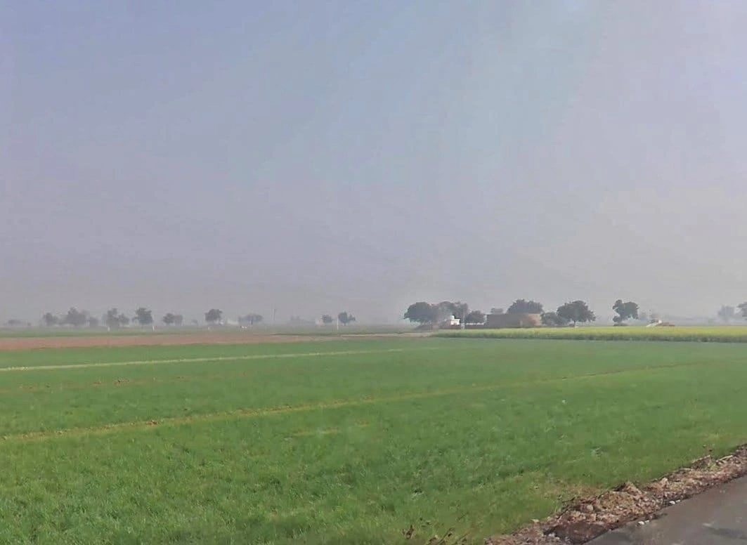 Ghamandia, Rajasthan 335804, India