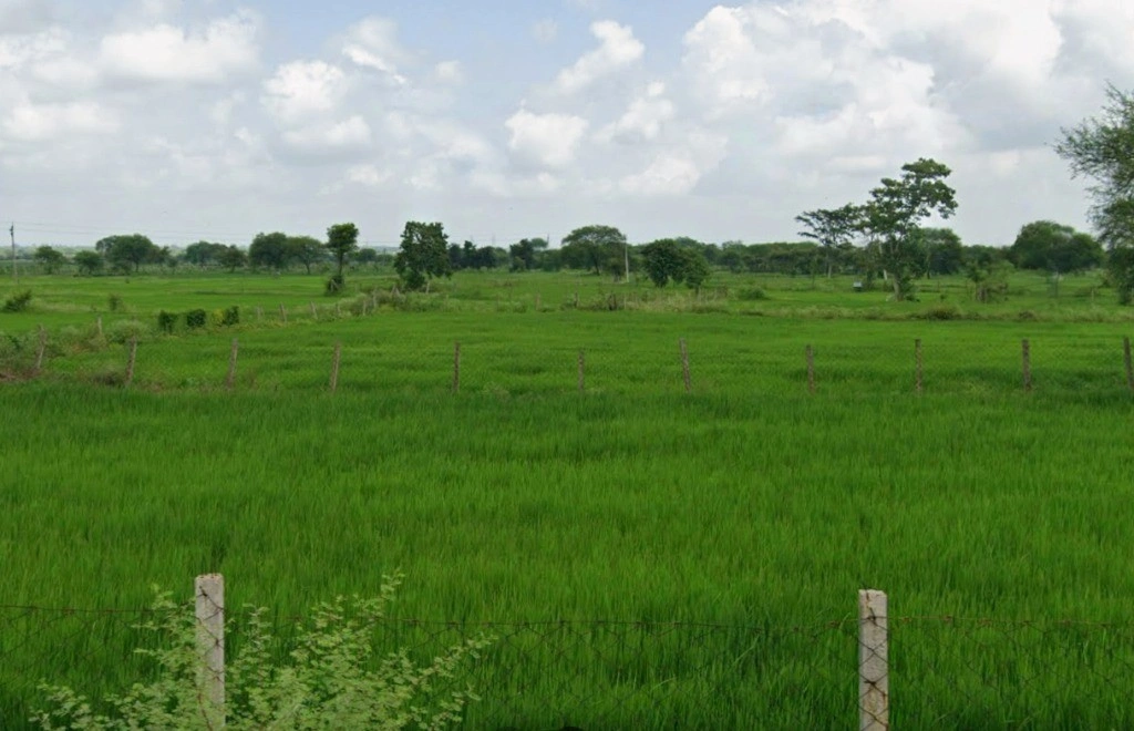 Birejhar, Chhattisgarh 493663, India