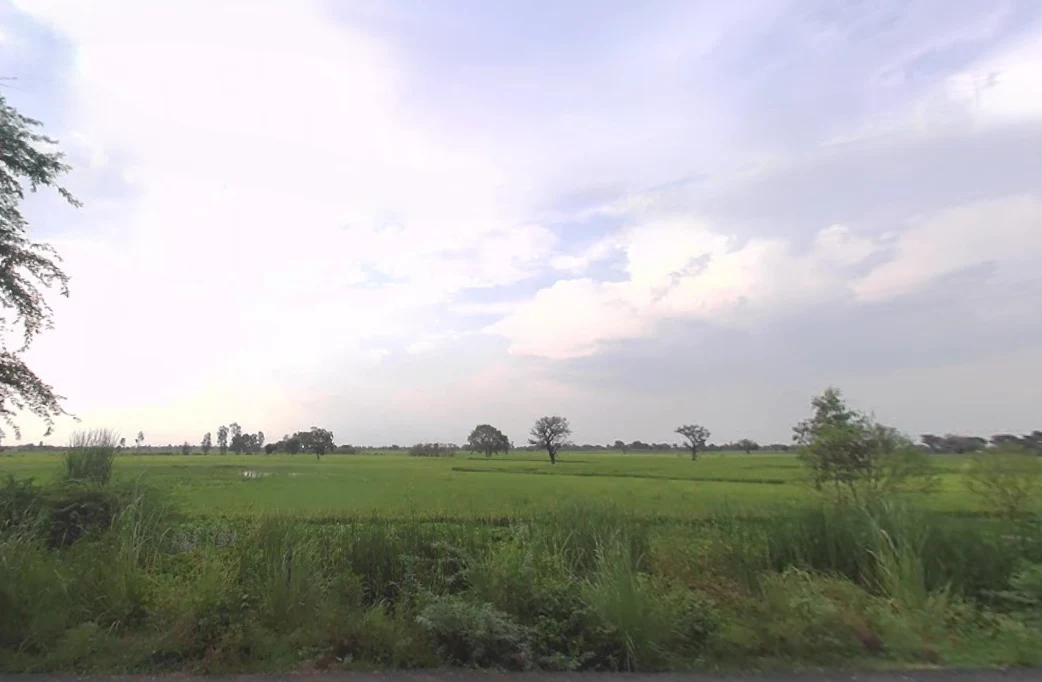 Kokilavana, Uttar Pradesh 281403, India