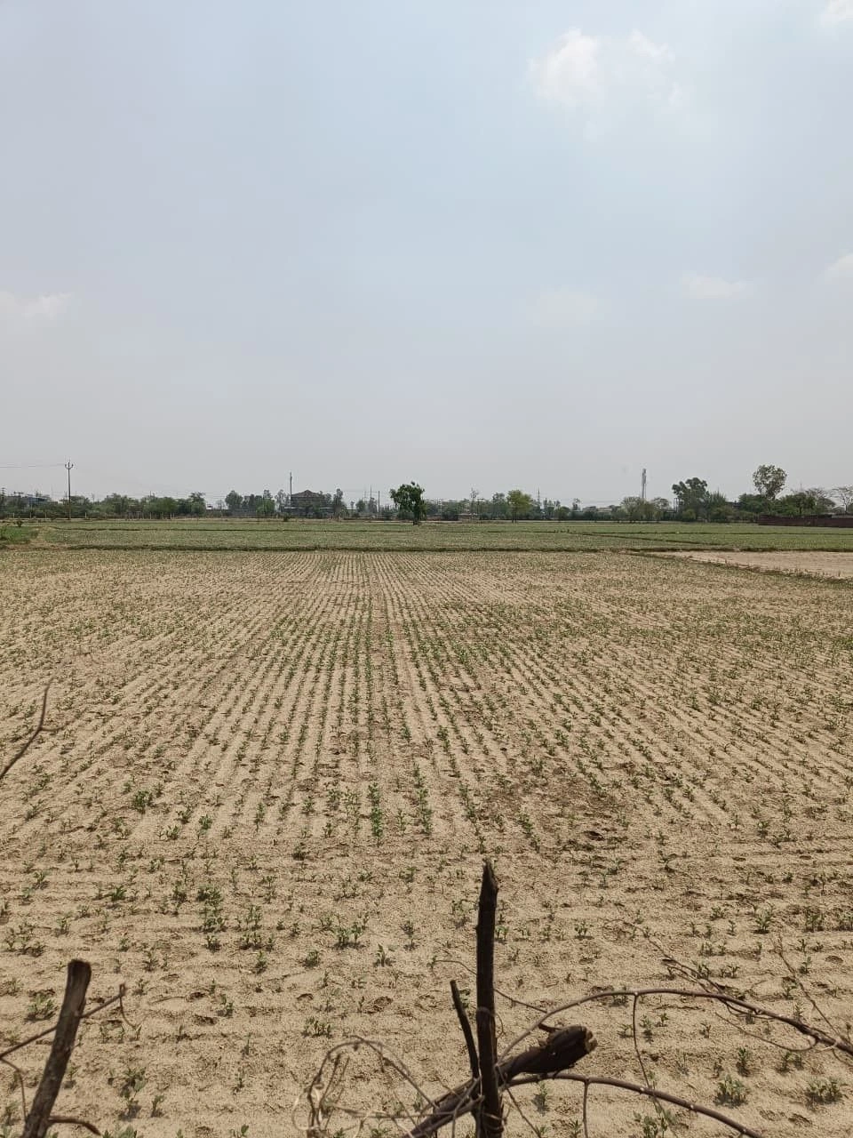 Kanwarpura, Kota, Rajasthan, India preview 2