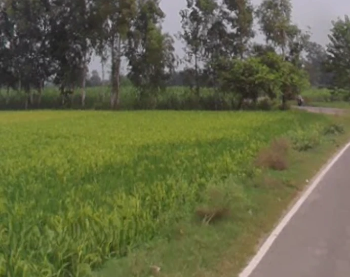 Garh Mukteshwar, Uttar Pradesh 245205, India