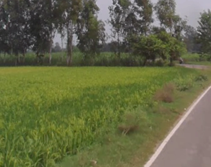 Garh Mukteshwar, Uttar Pradesh 245205, India