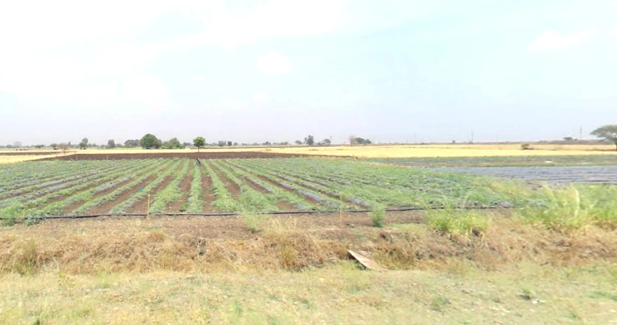 Banjali, Madhya Pradesh 457001, India