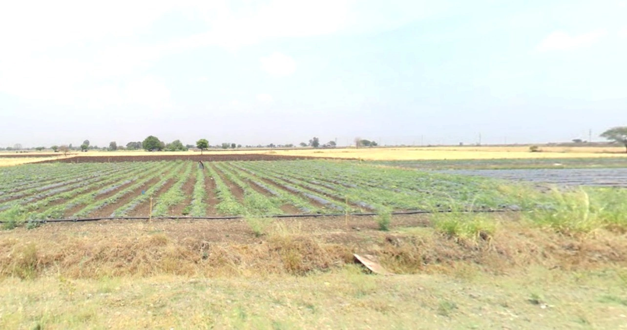 Banjali, Madhya Pradesh 457001, India