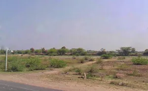 Chaksu Bypass Rd, Tigariya, Rajasthan, India preview 3