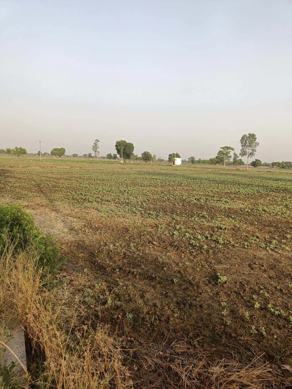 Tentigaon, Uttar Pradesh, India