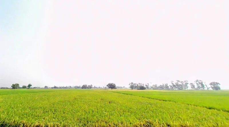 XPCV+CHH, Fullidumar Rd, Rata, Bihar 813207, India preview 2