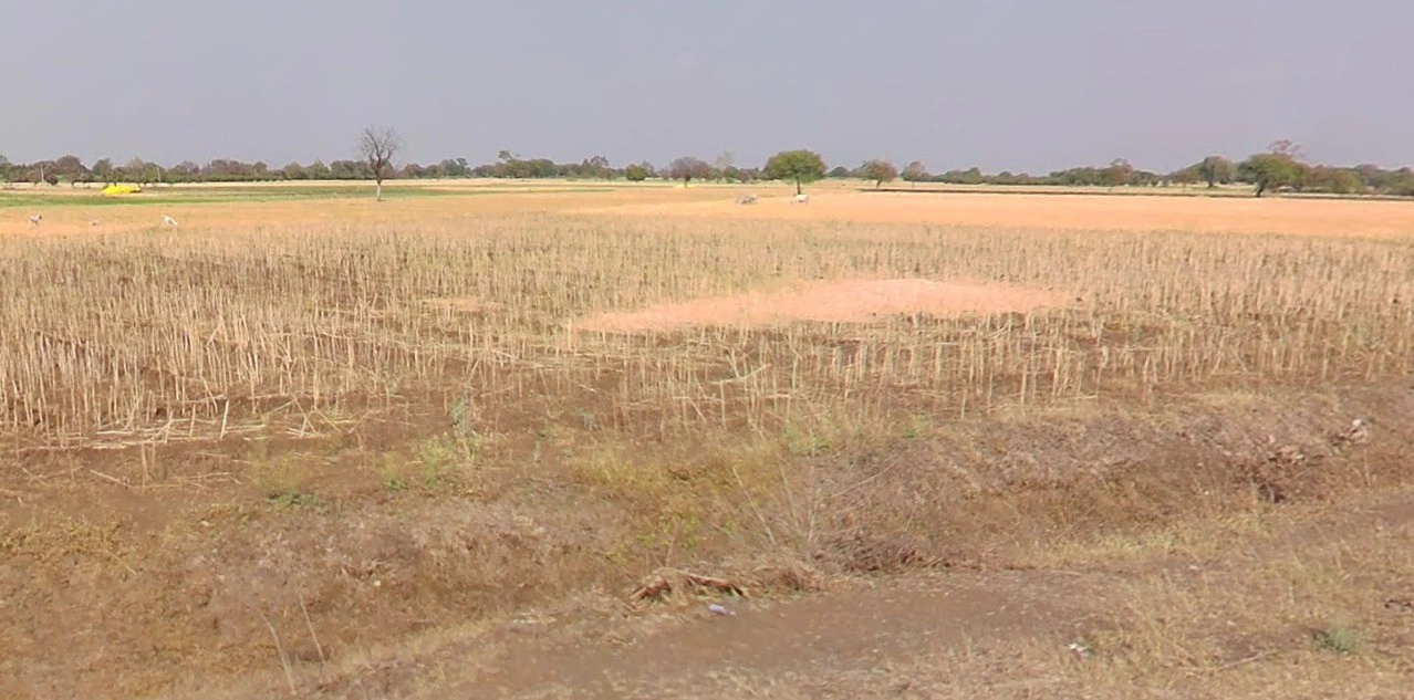 Sakhedi, Madhya Pradesh, India