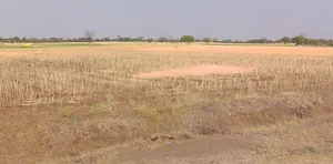 Sakhedi, Madhya Pradesh, India preview 3