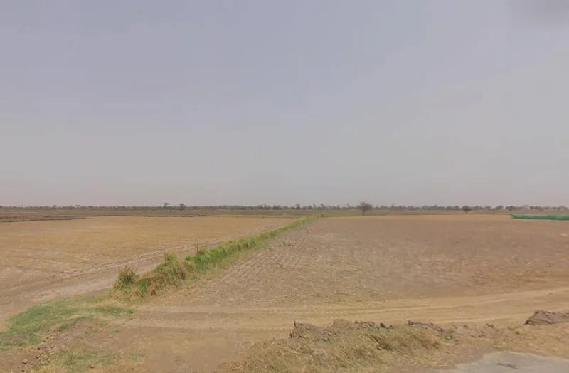 Farukh Nagar, Haryana 122506, India preview 2